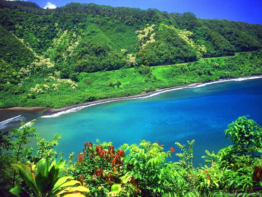 Hawaii Beach Wallpapers Maui 37895 Desktop Wallpapers