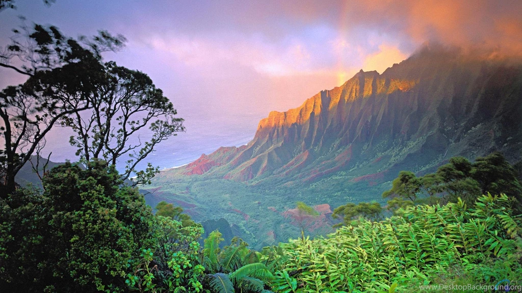 Download Wallpapers Kalalau, Hawaii Islands (1920 X 1080 HDTV 1080p ...