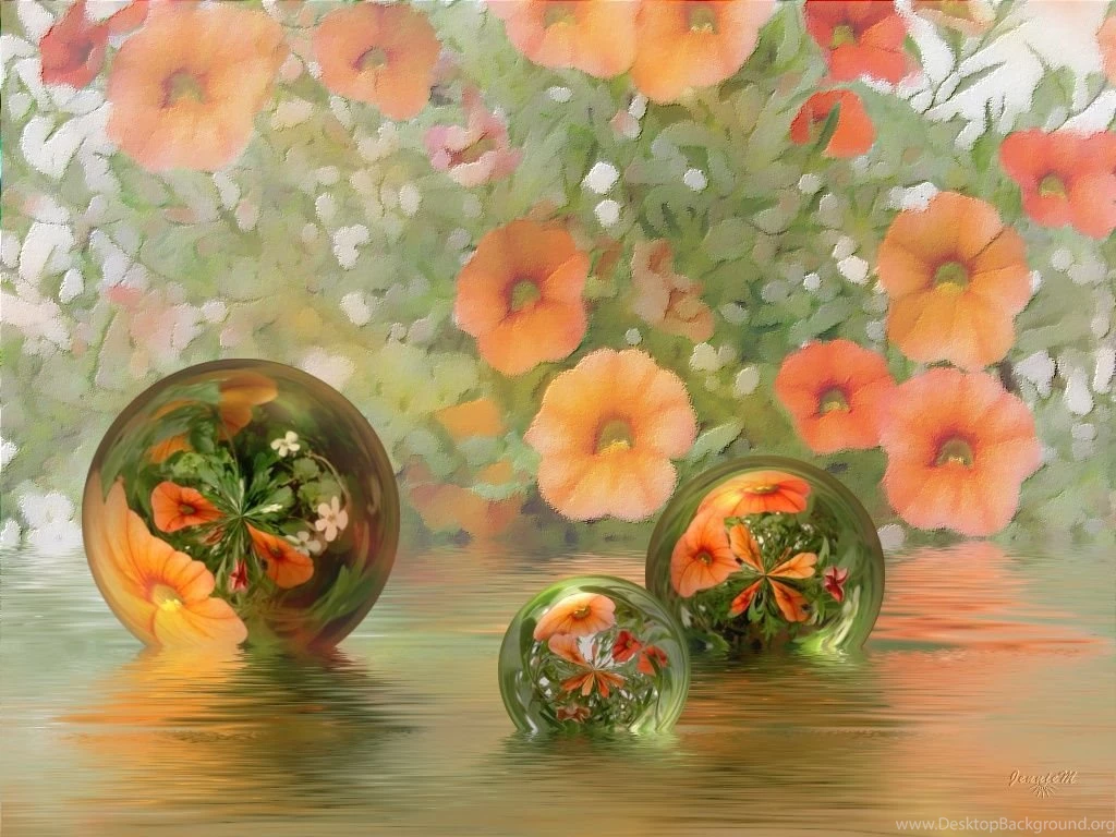 Desktop Wallpapers: 11/16/11