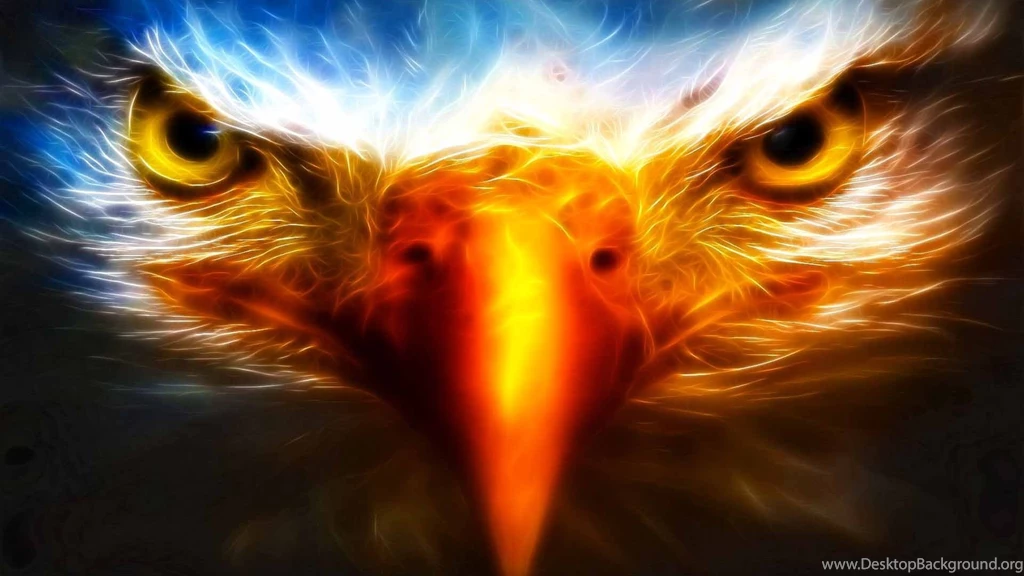 Eagle HD Wallpapers , New Wallpapers, New Wallpapers