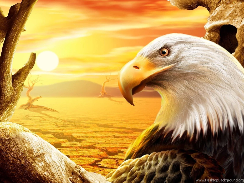 164 Bald Eagle HD Wallpapers