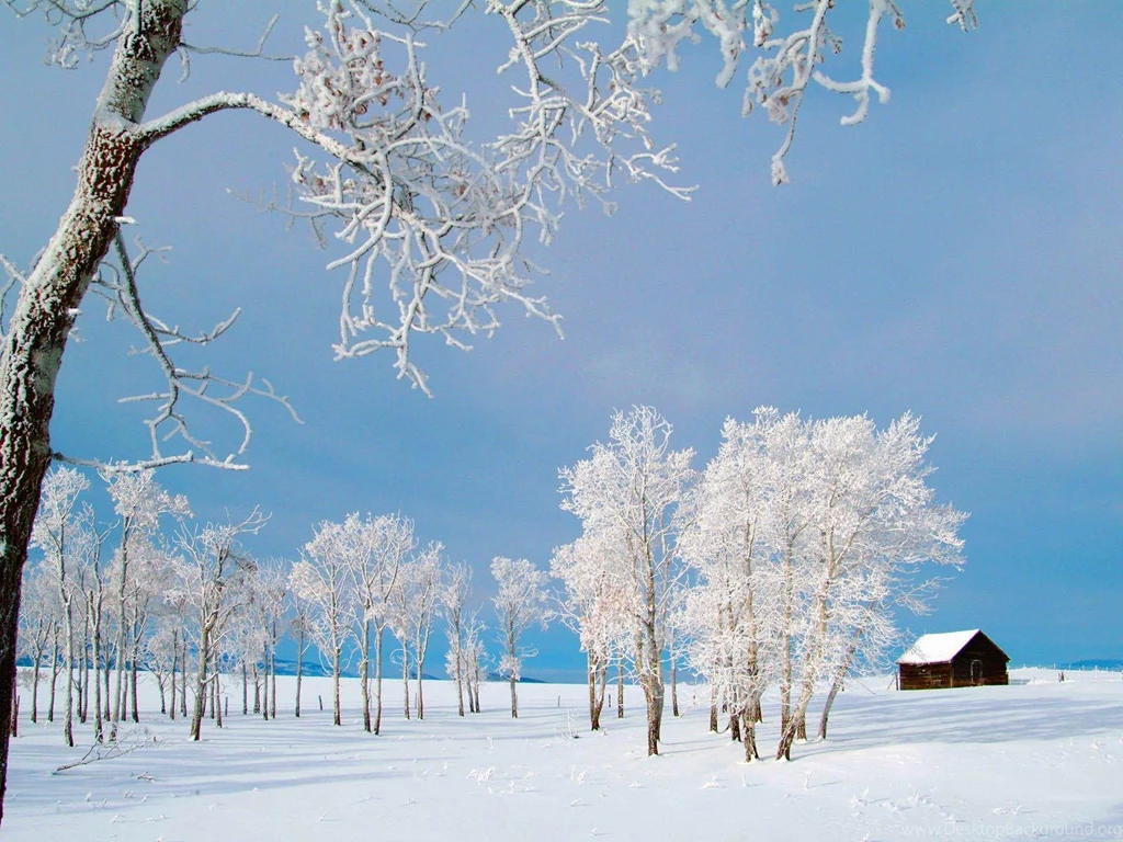 Desktop Backgrounds Winter 25079 Wallpapers Res 1600×1200