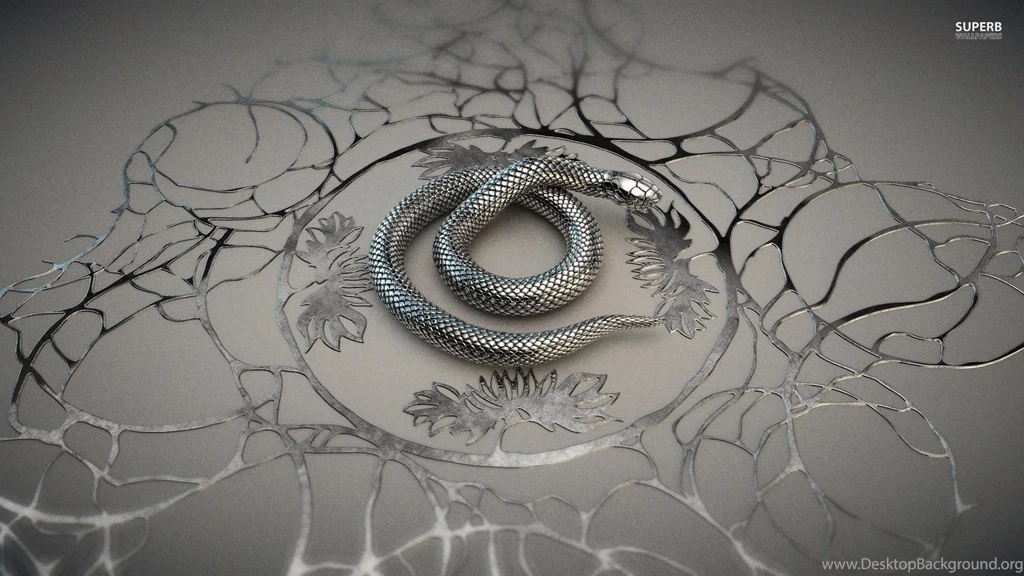 Snake Wallpapers Animal Wallpapers