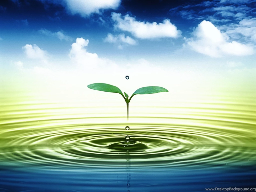 3D Leaves And Water Drop Wallpapers