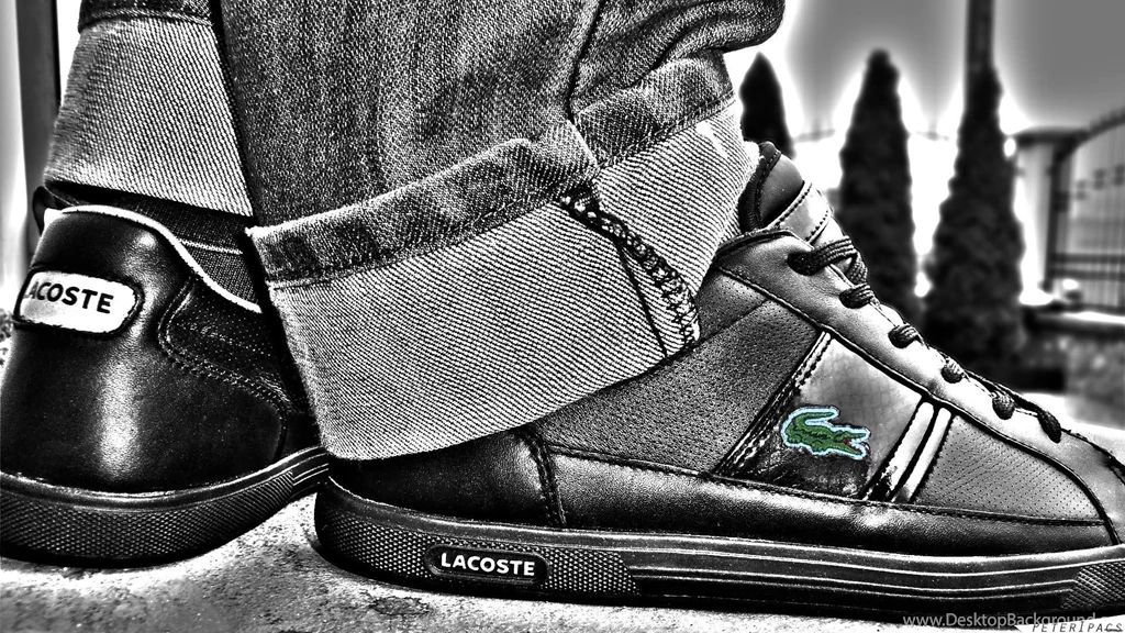 Lacoste >> HD Wallpaper, Get It Now!
