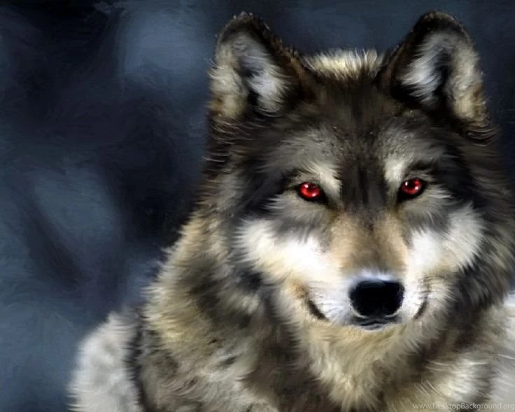 Wolves Wallpapers Http://www.0wallpapers.com/1760 wolves ...
