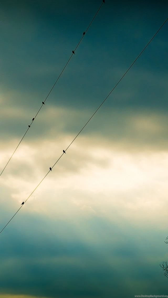 Music iPhone Wallpapers