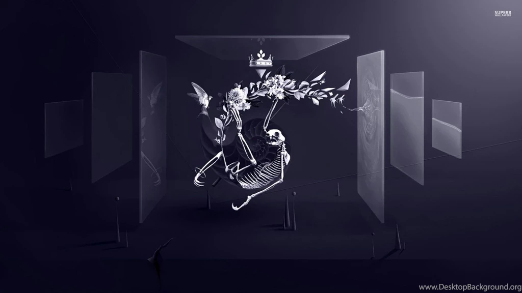 Top Skeleton X Ray Wallpapers Hd 1080 Images For Pinterest