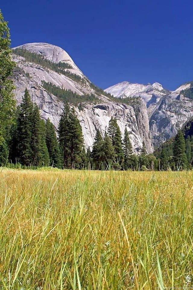 iPhone 4 Nature Wallpapers Set 2 11