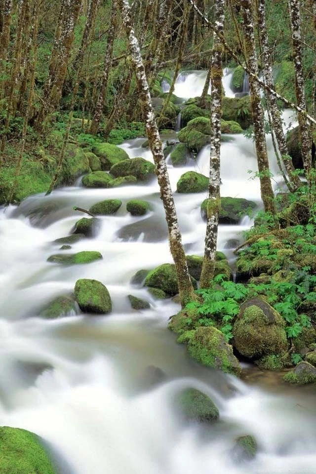 HD iPhone Wallpapers   HD iPhone 4 Backgrounds Img 12