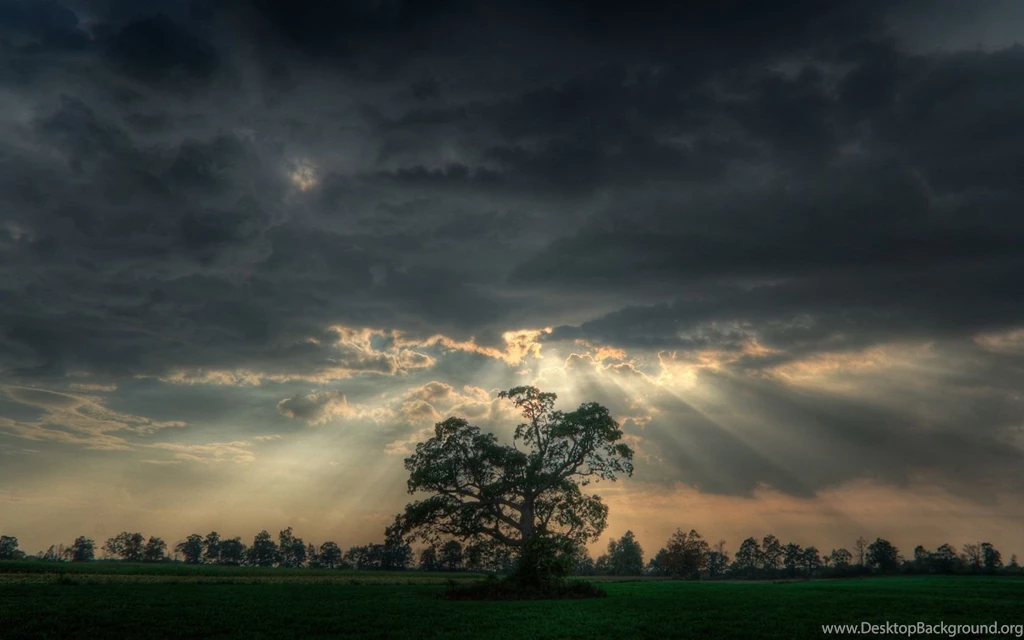 InterfaceLIFT: 1680x1050 Wallpapers Sorted By Date