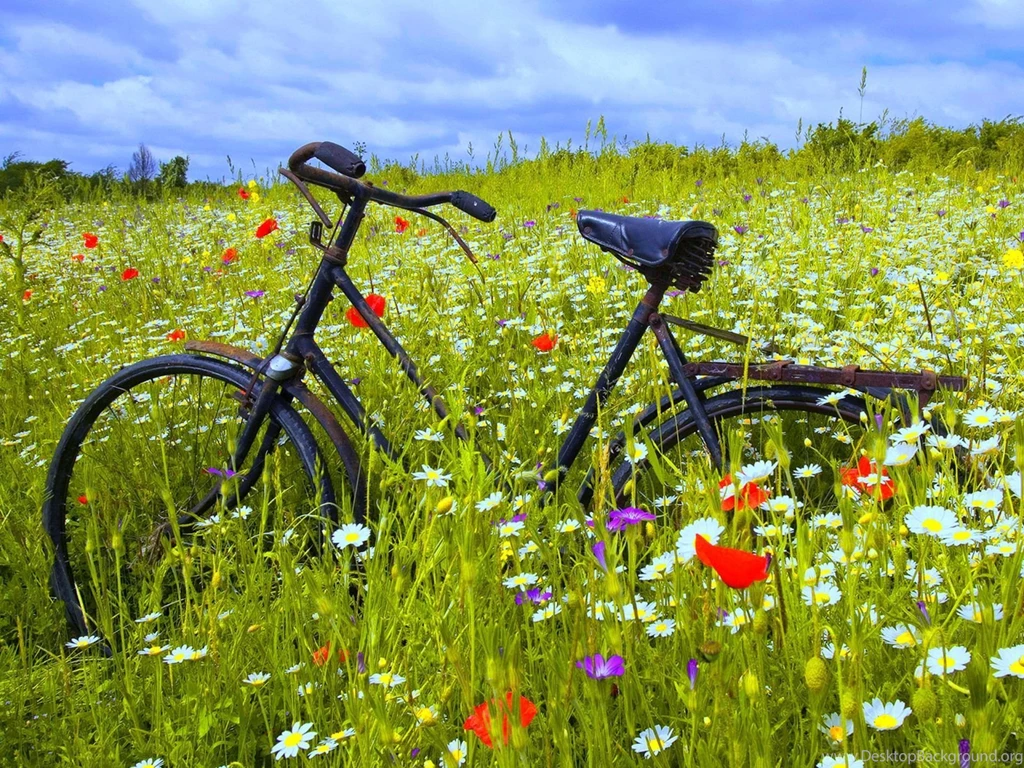 Top Bicycle Wallpapers Desktop Images For Pinterest