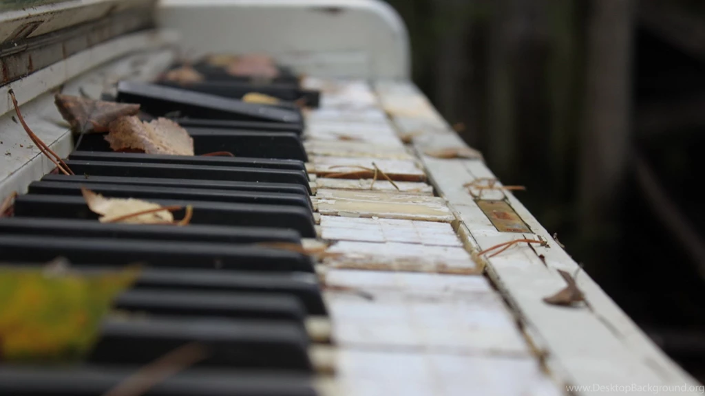 Wallpapers Music Piano Photo Keys Old Broken Leaves Wag 2560x1440 ...
