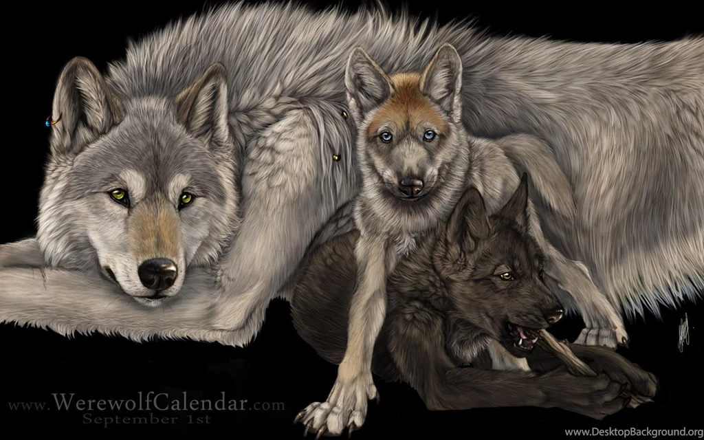 Wolves Hd Wallpapers Free Download Marvelous Hd Wallpapers Of ...