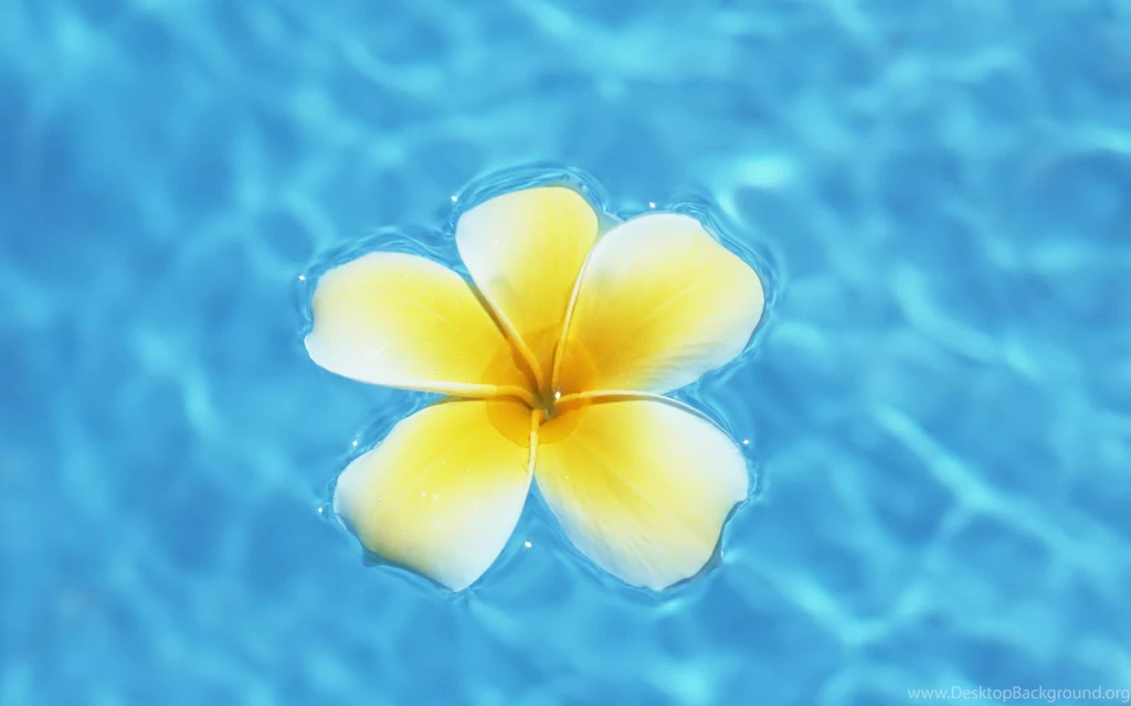Desktop Wallpapers · Gallery · Windows 7 · Spring Water