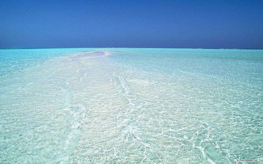 Clear Ocean Water Desktop Backgrounds Free Wallpapers