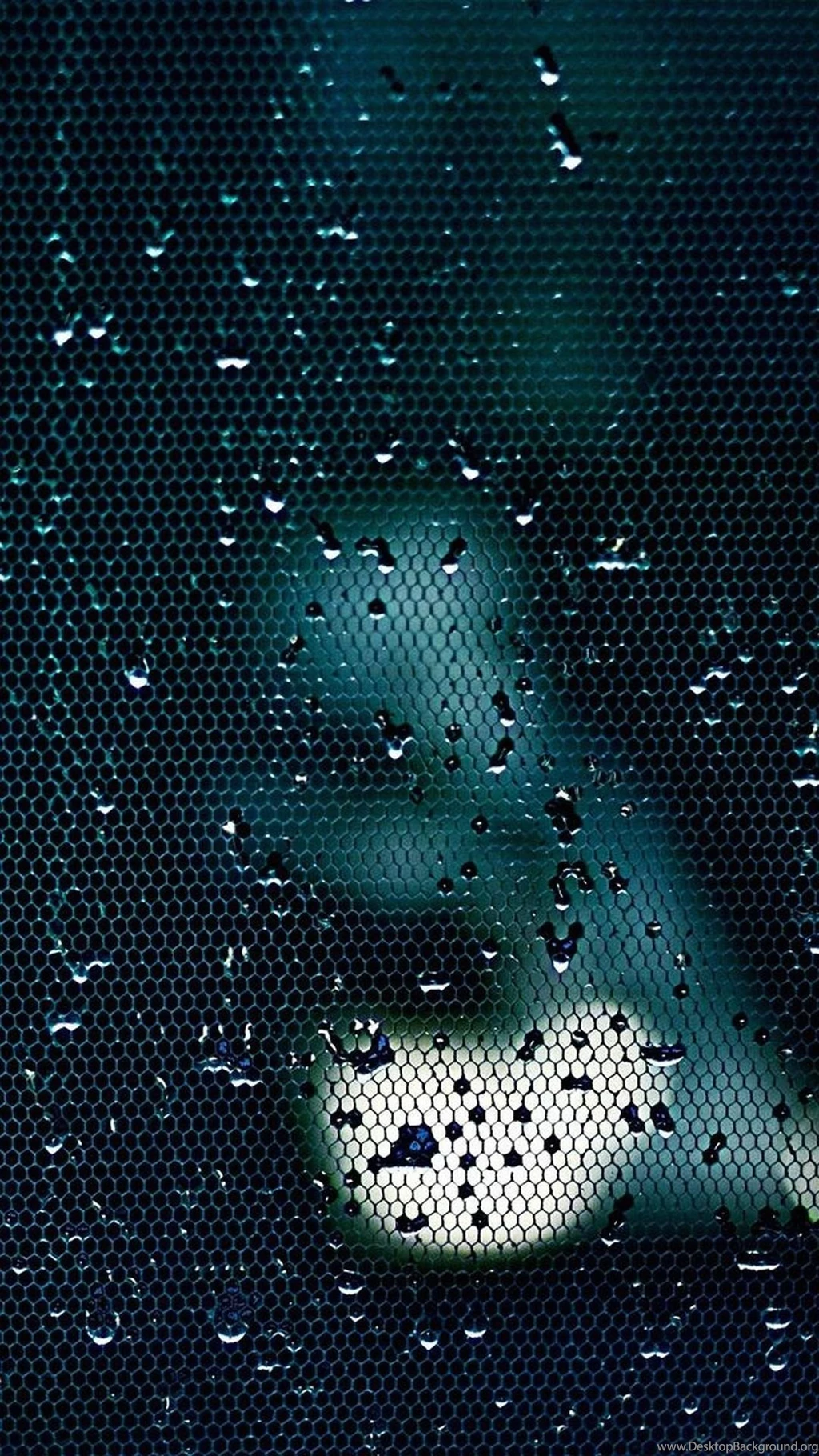 Z Wallpapers Full Hd 1080 X 1920 Smartphone Amazing Red Rose   1080 ...