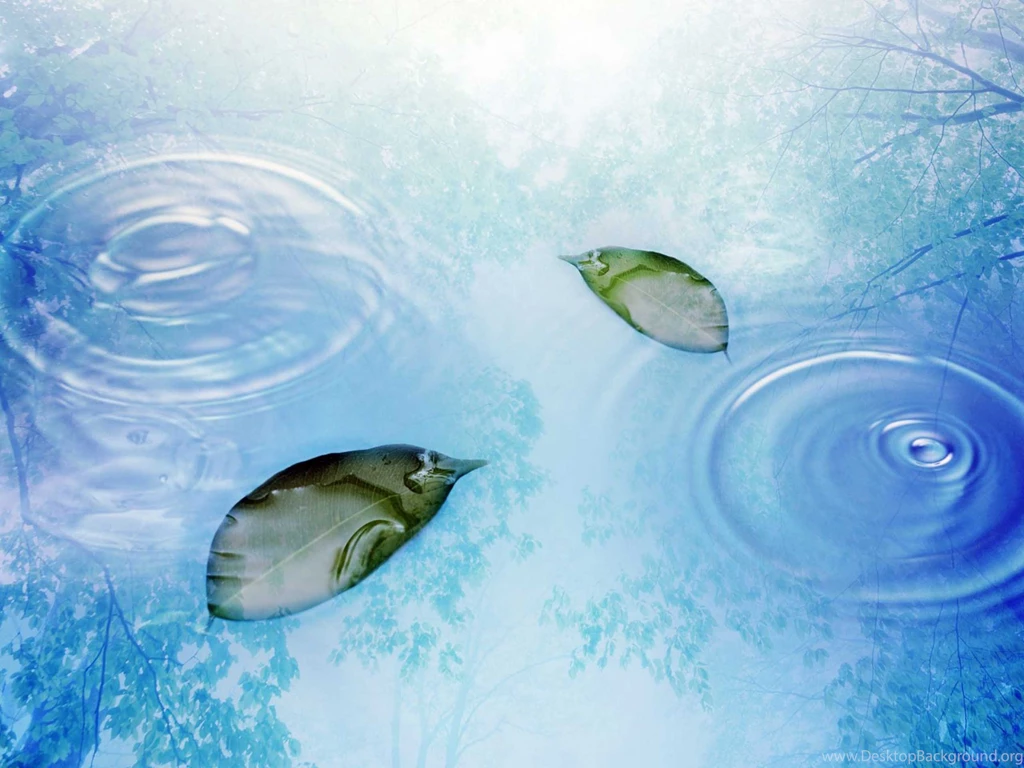 Download Rain Water Beutiful Wallpapers For Desktop In HD