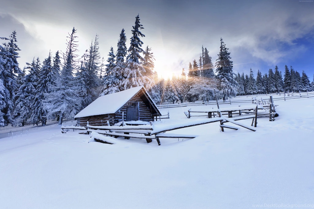 Winter Forest Wallpaper, Nature / Forest: Winter Forest, Mountain ...