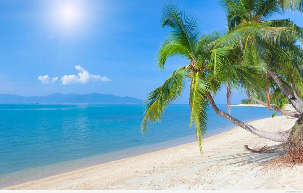 Wallpapers Amazing Summer