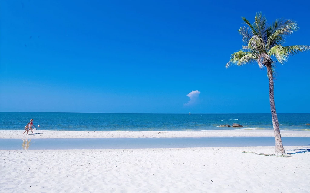 Beach Summer Ocean Wallpapers