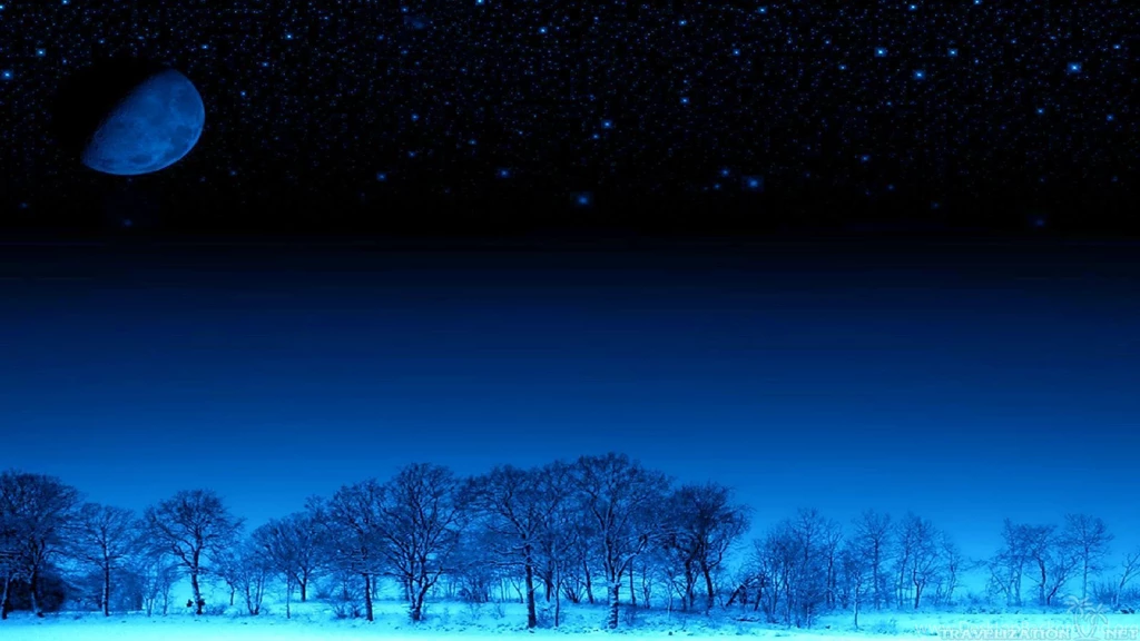 Wonderful Winter Night Wallpapers