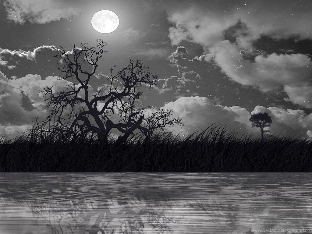 Beauty Of Moonlight At Night Sky Near Sea Poetic Nature Images ...