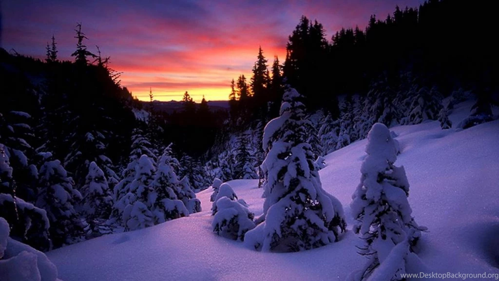 Purple Snow Winter Night Wallpapers (