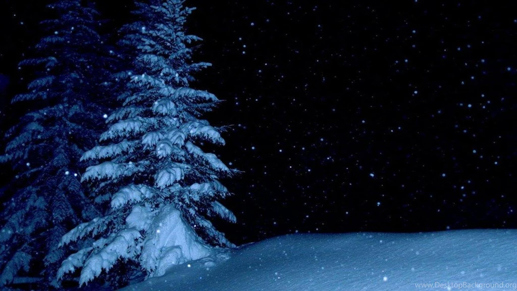 Winter Night Wallpapers (