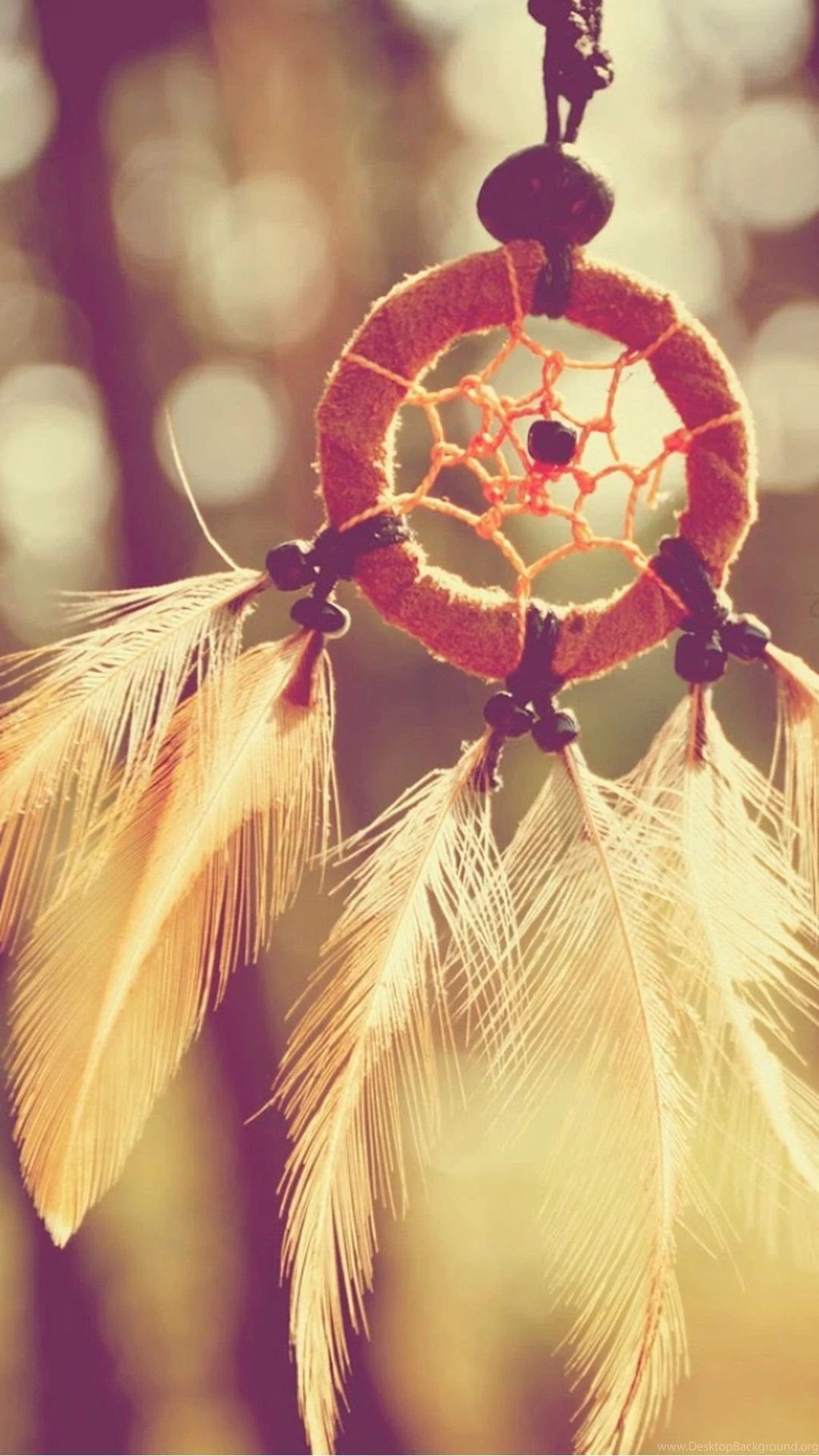 Dreamcatcher Feathers Closeup iPhone 6 Wallpapers Download