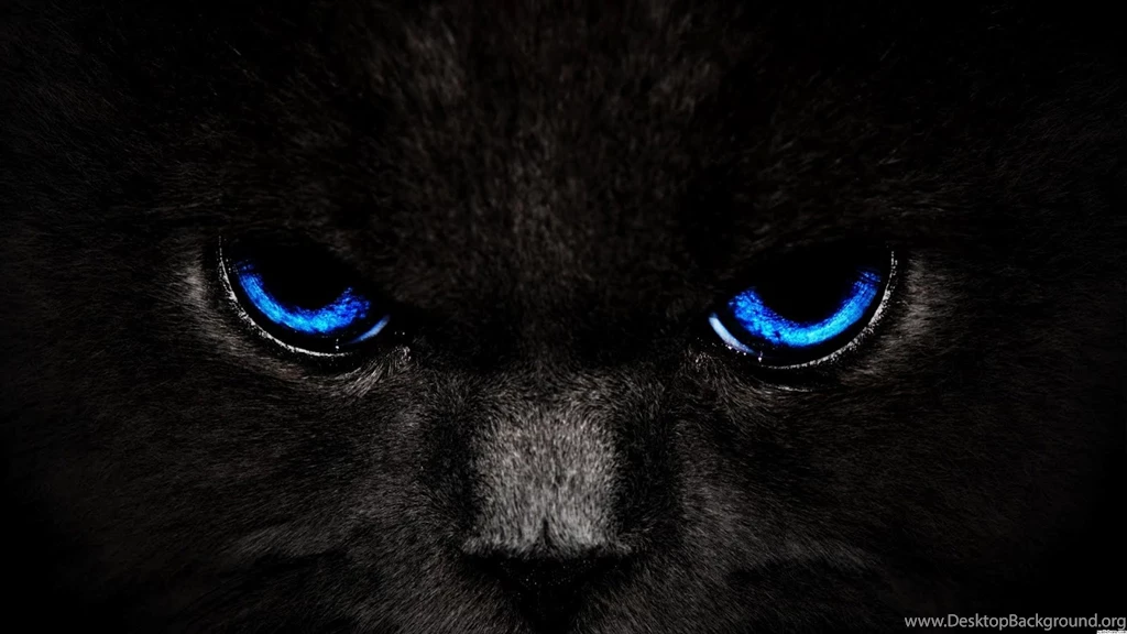 Wallpapers PC Backgrounds