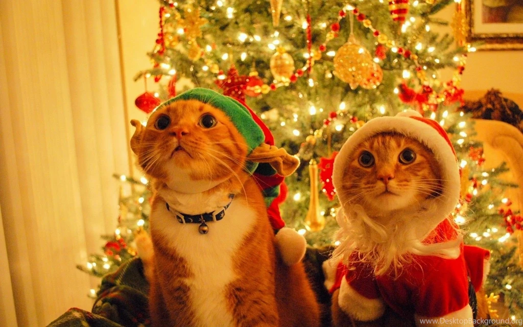 2015 Christmas Wallpaper Backgrounds Desktop Images, Photos ...