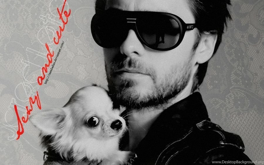 Jared Leto Wallpapers 2 By Nandadias On DeviantArt
