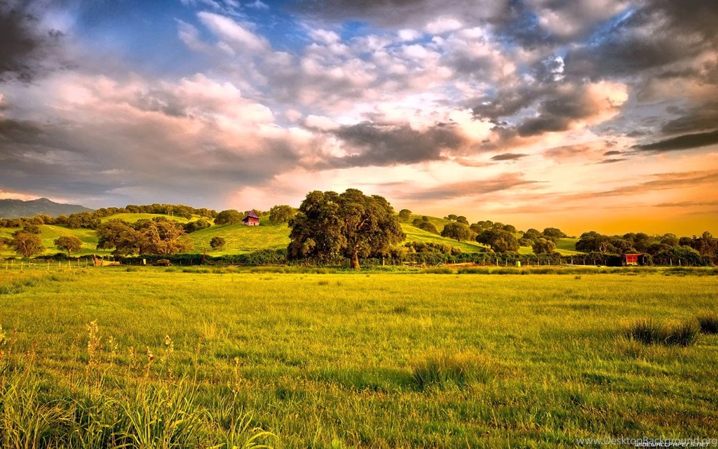 Nature Wallpapers Cool Wallpapers For Desktop And Phone 1920×1200 ...