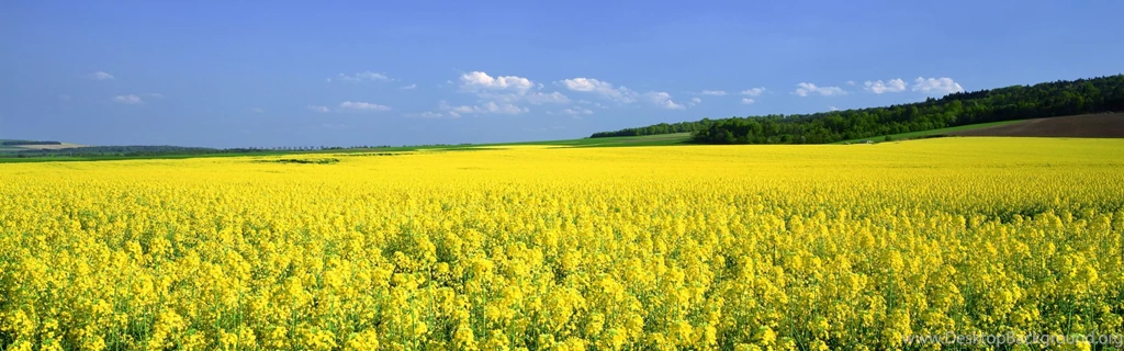 Free Dual Screen Wallpapers 38501 Images