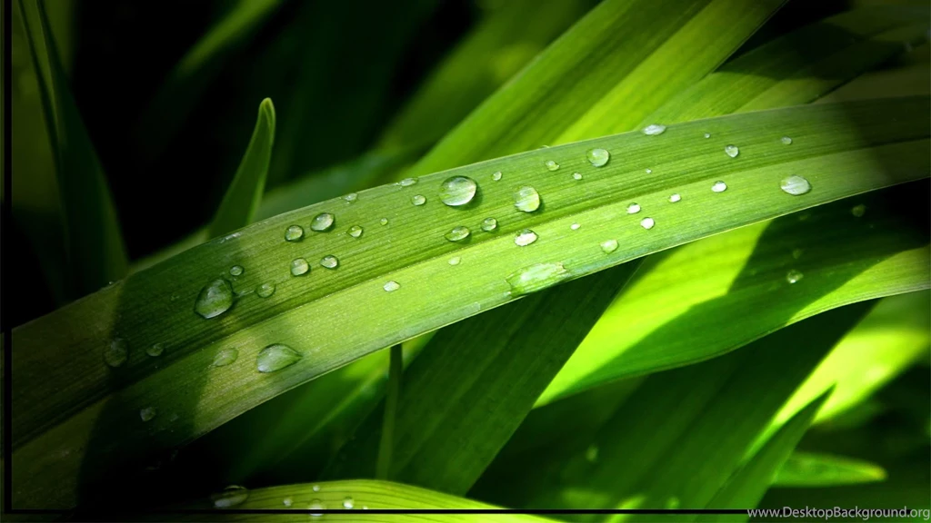 Hd Wallpapers 1920 27607