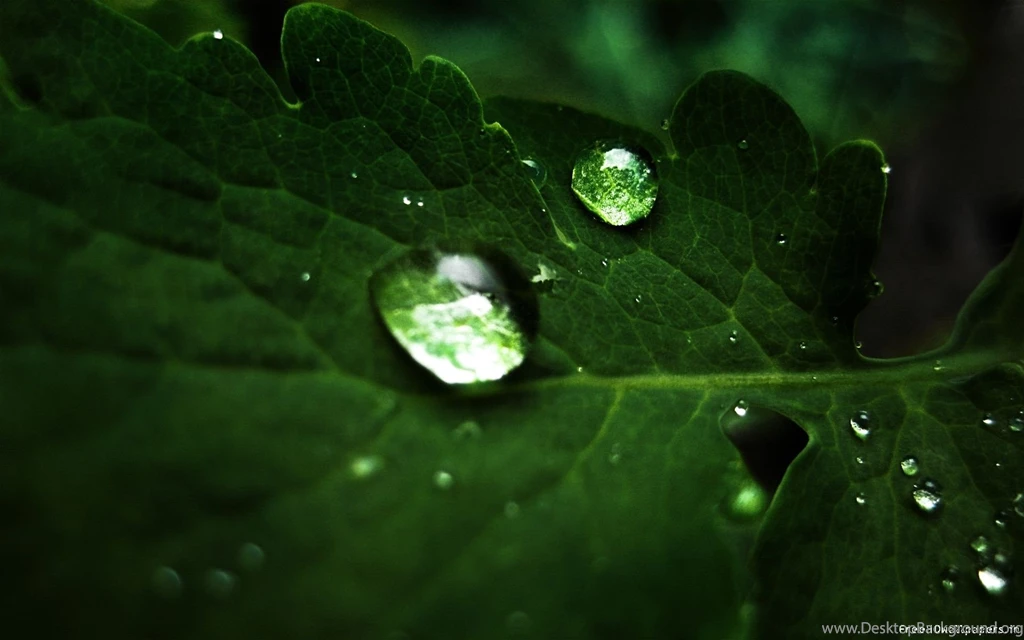 Hd Pictures 1920X1080   All Wallpapers New