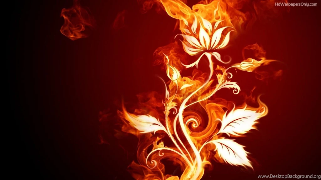 1920×1080 Wallpapers HD