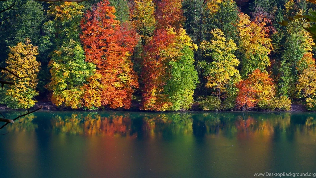 1080 Wallpapers Hd 1425932