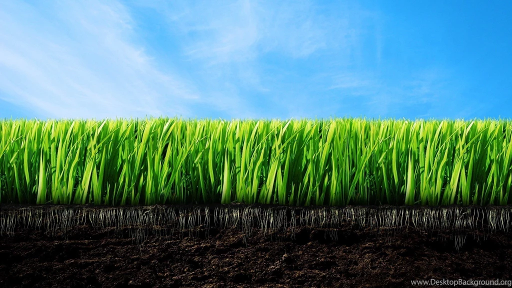 Download 2560x1440 Minecraft Grass Close Up Wallpapers
