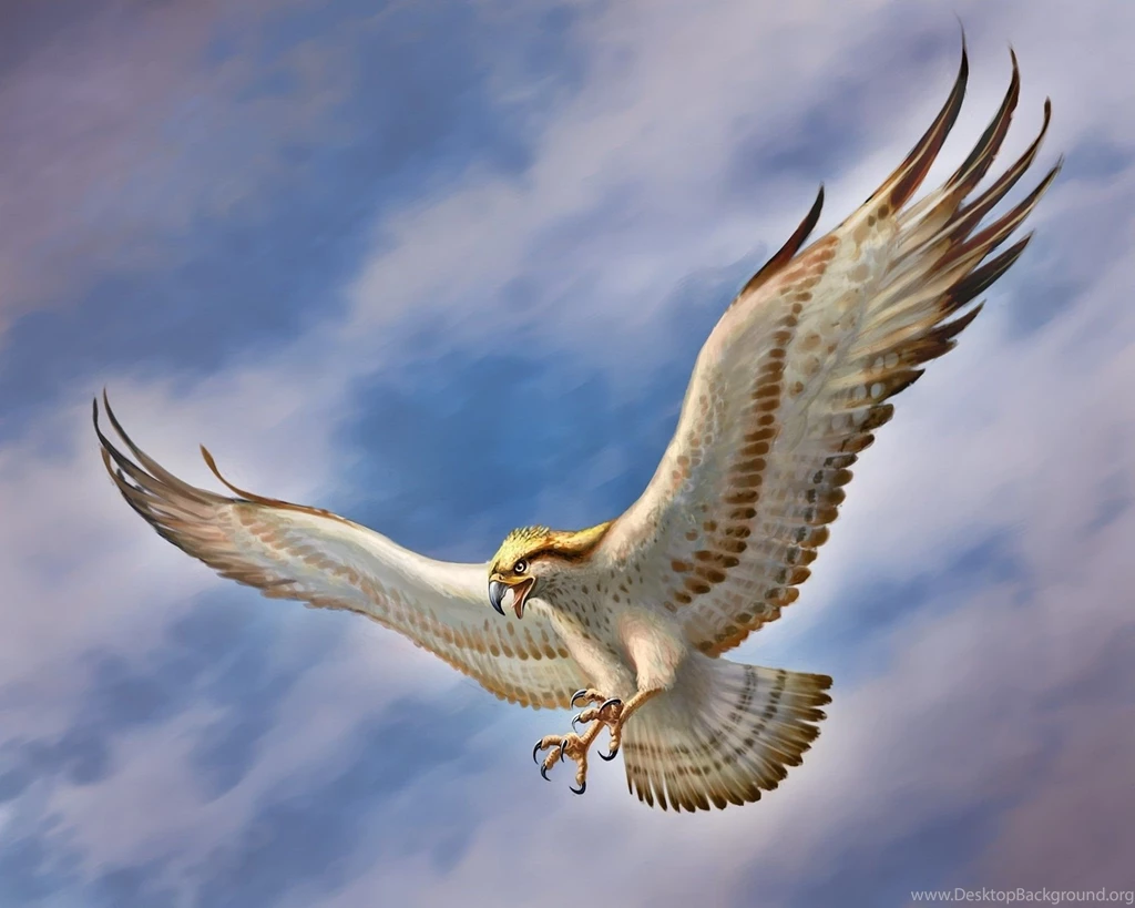 Flying Eagle HD Wallpapers, Flying Eagle Pictures, New Wallpapers