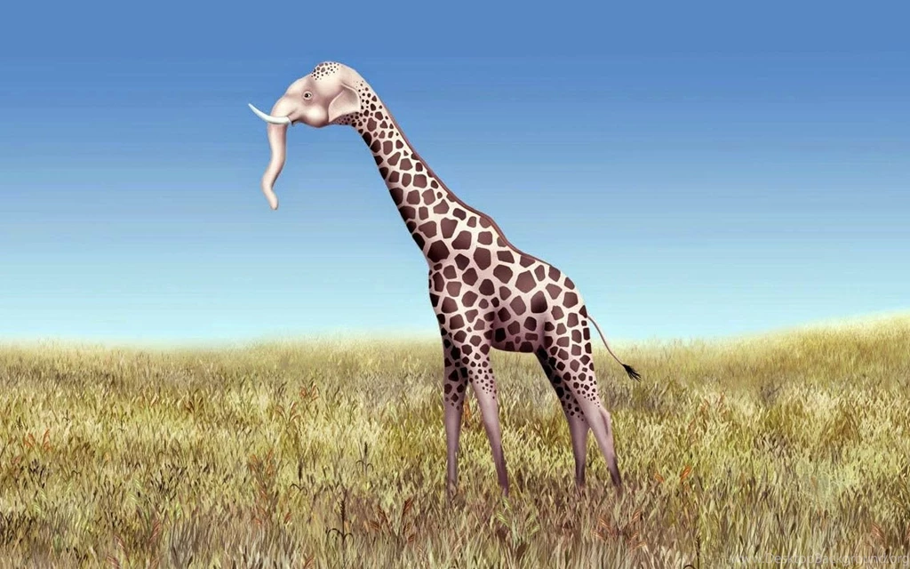Funny Desktop Wallpapers In HD HD Wallpapers High Quality ...
