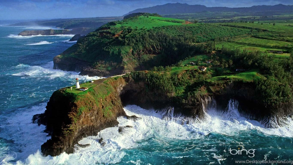 Nature desktop wallpaper widescreen.jpg