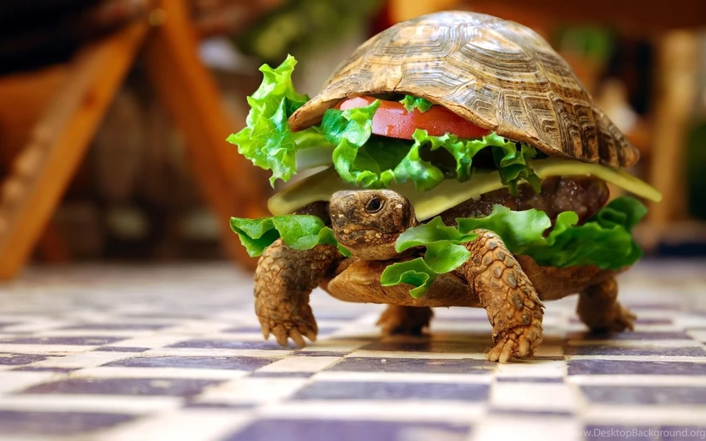 Hilarious Desktop Backgrounds