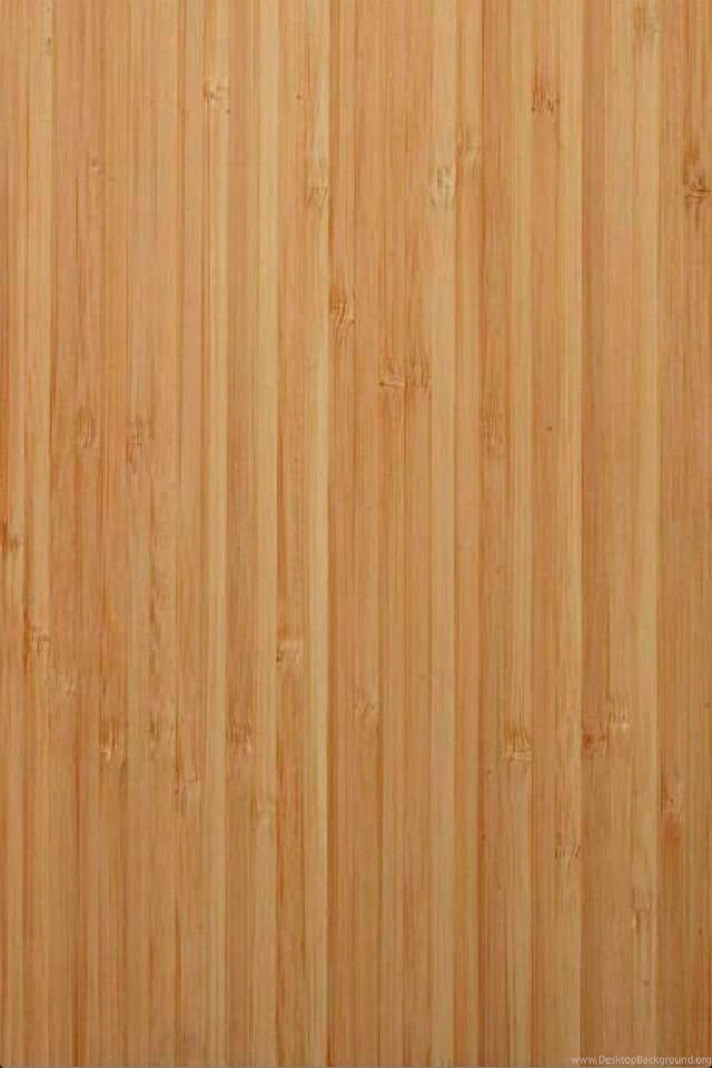 An iPhone 4 Case For Than Simple Professional Look