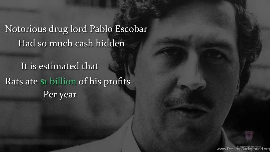 Pablo Escobar The King Of Cocaine Video Dailymotion