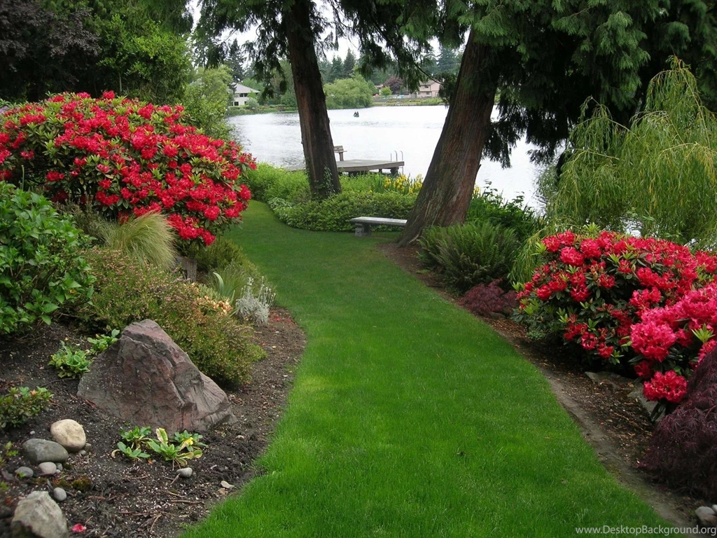 Flower Garden Backgrounds