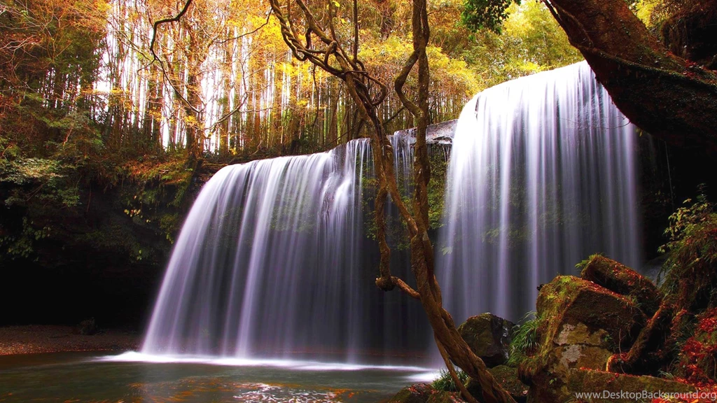 Forest Waterfall Wallpapers HD 1080p For Desktop