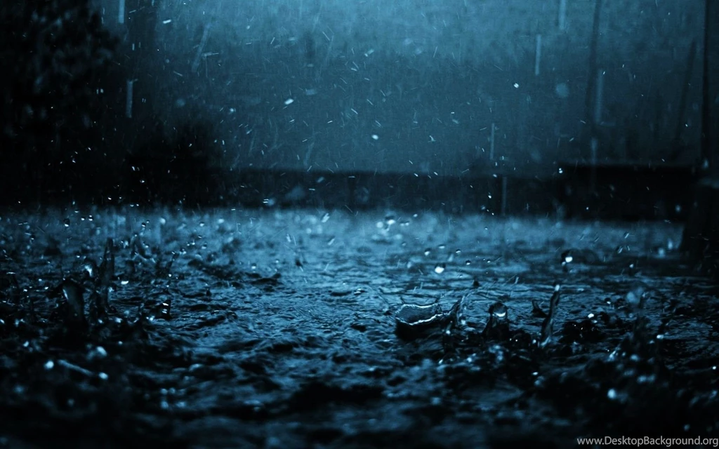 1680x1050 Macro Wallpapers, Desktop Backgrounds HD Downloads All Time