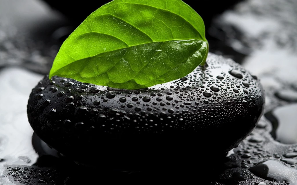 Computer Wallpapers Desktop Backgrounds Free Dow